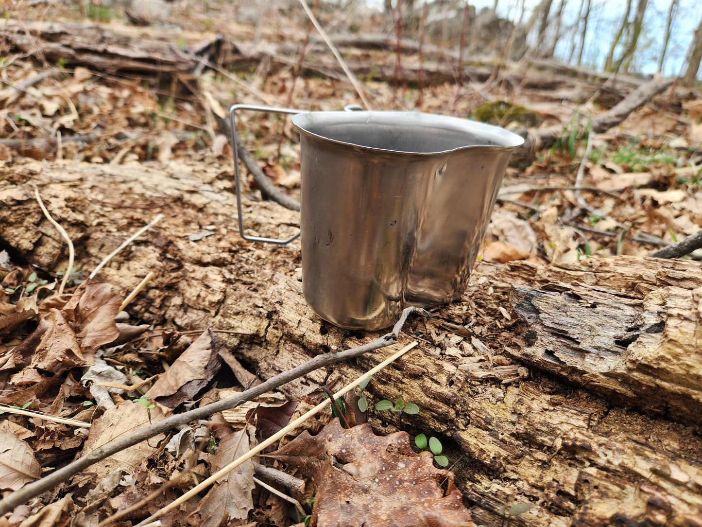 Canteen Cup